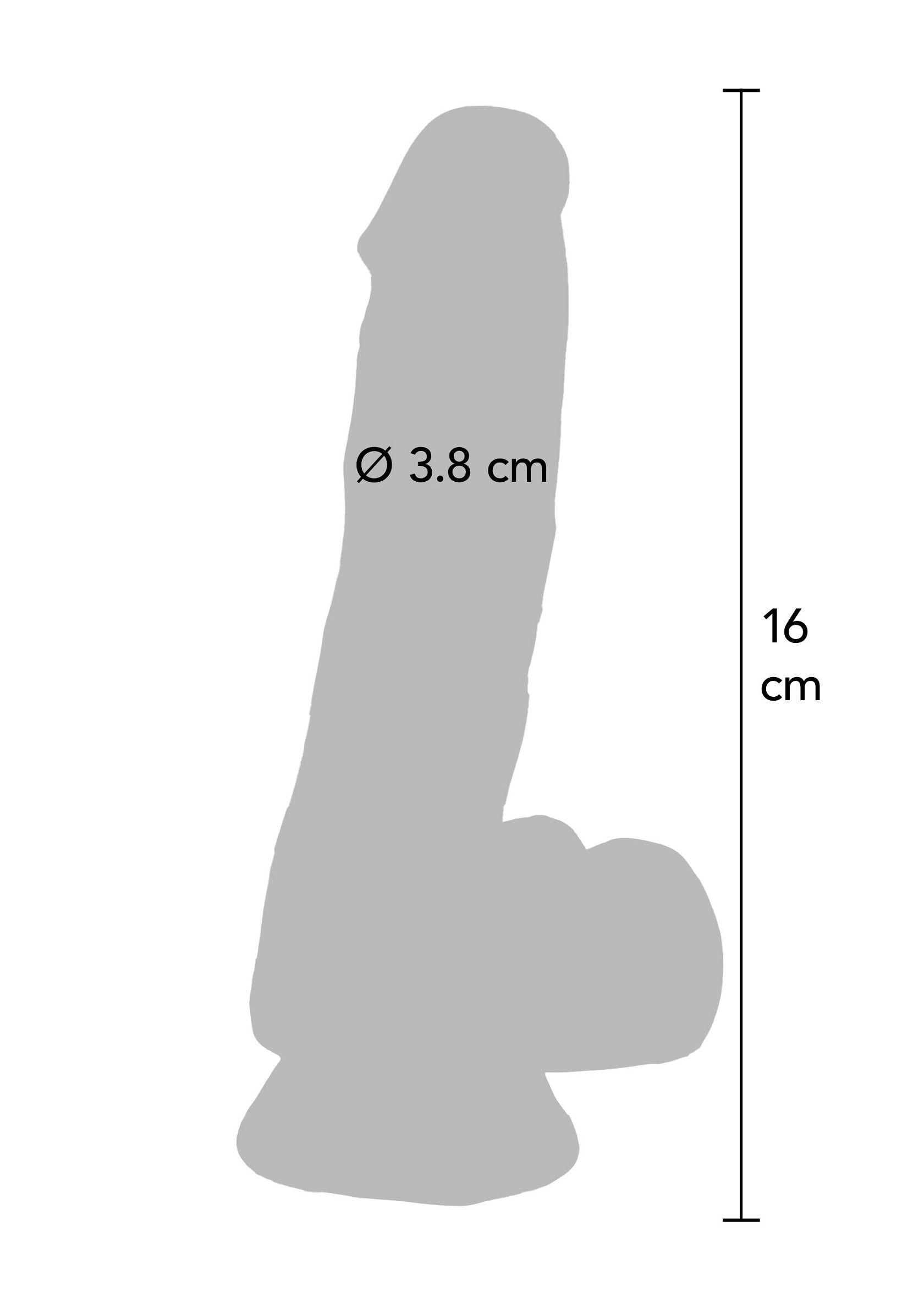 10124_transpa_04.jpg